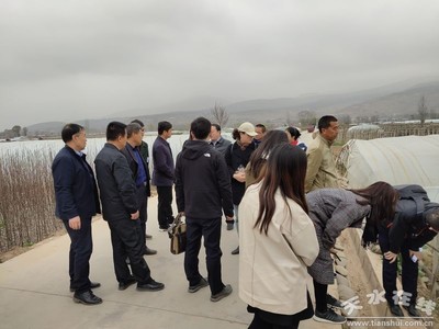鄭州商品交易所深入天水開展馬鈴薯產業調研，助力期貨市場服務鄉村振興